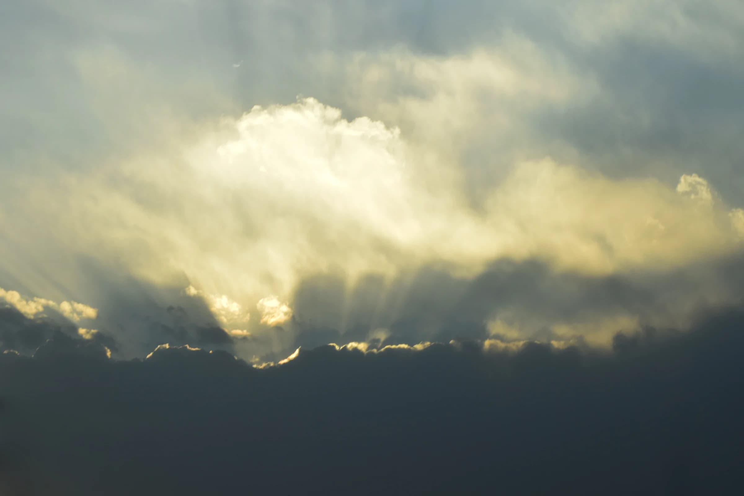 Vase of Light by Hassan