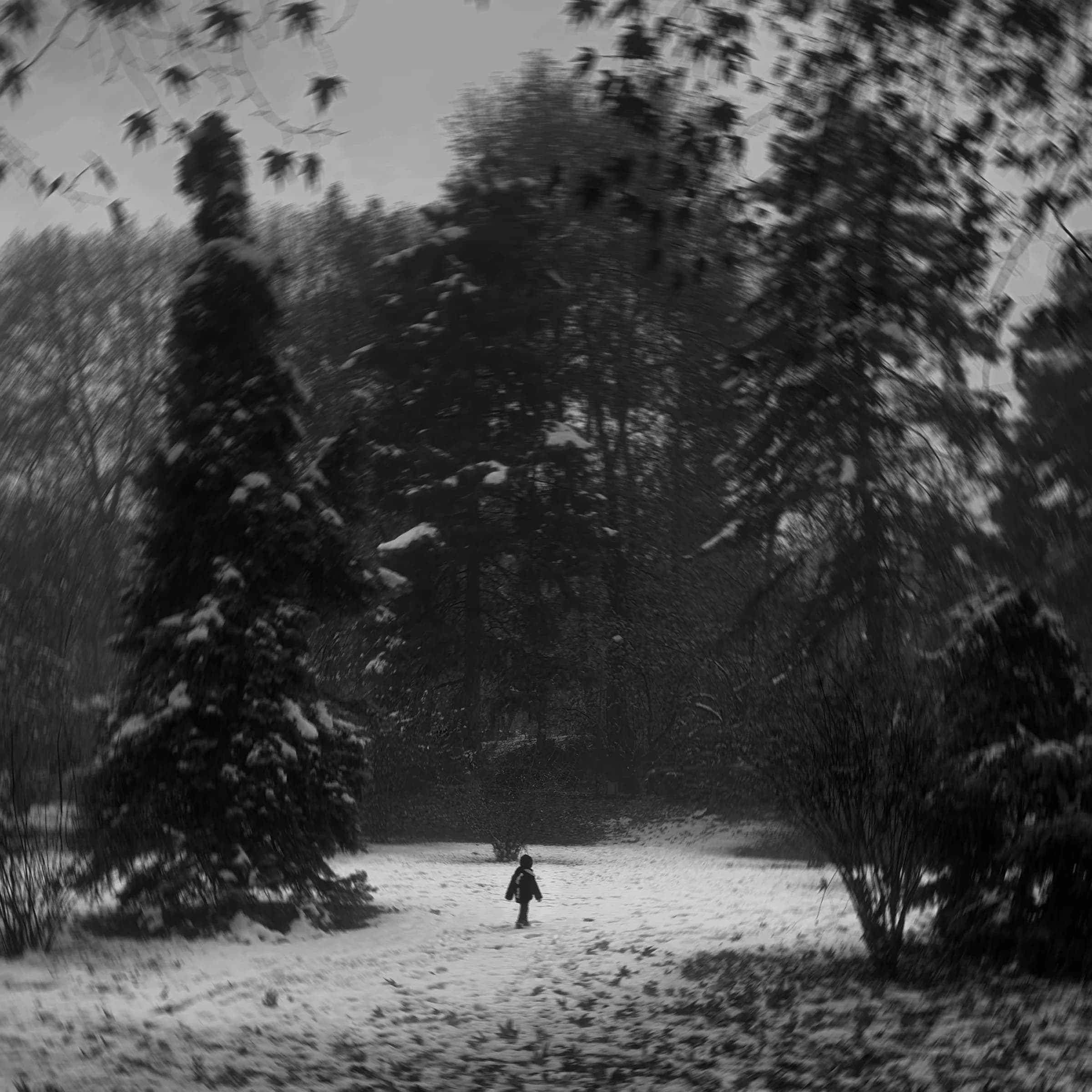 Wait for Me by Armando Silvers